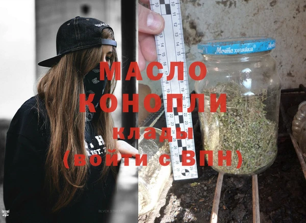 амф Гусев