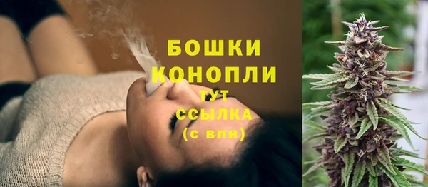 амф Гусев