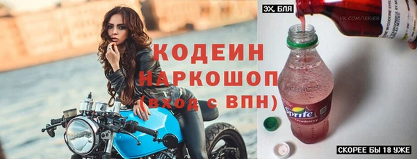 прущие грибы Дмитров