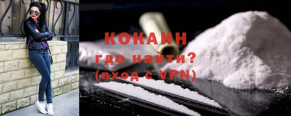 прущие грибы Дмитров
