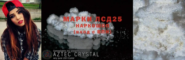 амф Гусев