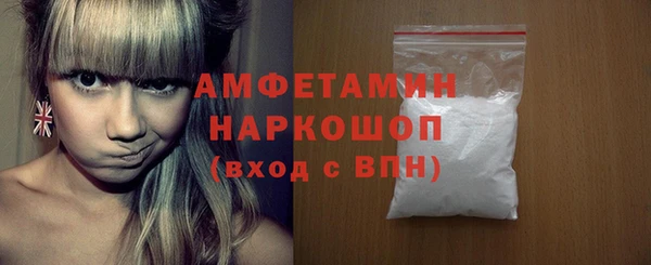 амф Гусев