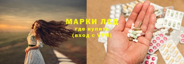 амф Гусев