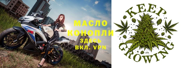 амф Гусев