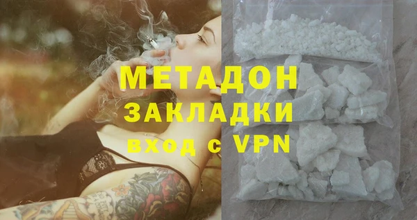 амф Гусев