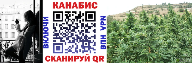 Купить где  Протвино  Конопля семена 